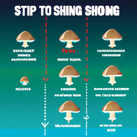 How Long Do Shrooms Last? A Timeline Guide