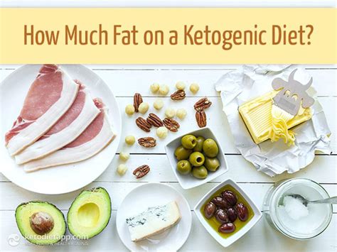 How Much Fat On A Ketogenic Diet The Ketodiet Blog