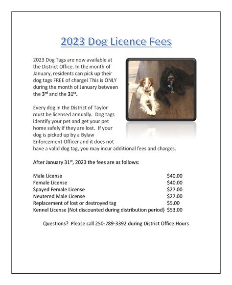 How Much Is Toronto Pet Licence? Cost And Benefits