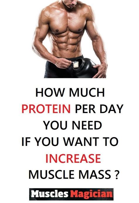 How Much Protein Should You Eat To Gain Muscle Mass Massgainerreview