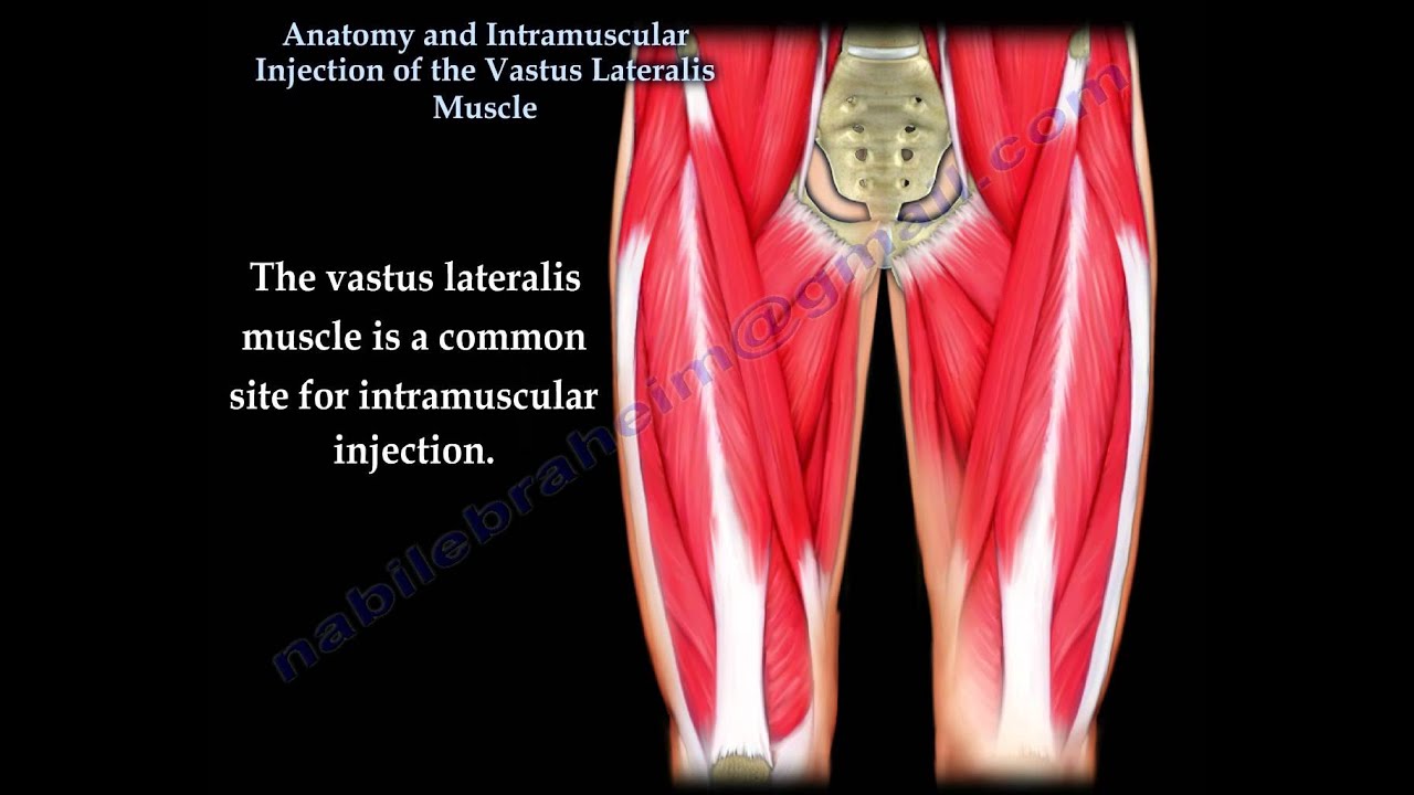 How Painful Is Intramuscular Shot In Thigh? Relief Tips