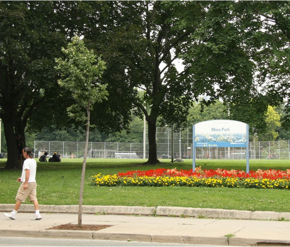 How Safe Is Moss Park Toronto? Neighborhood Tips