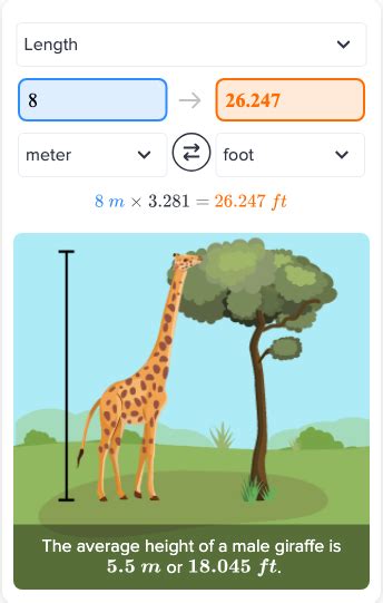 How Tall Is 1.8 Meters In Feet? Easy Conversion