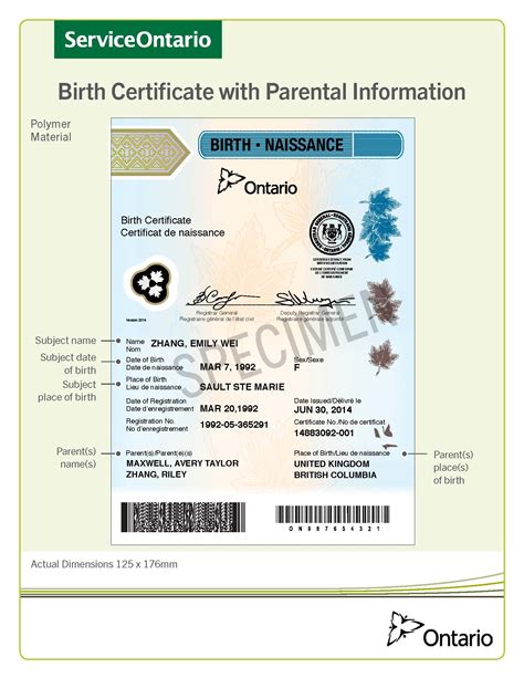 How To Apply For A Canadian Birth Certificate Parkchrist