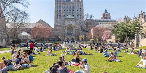 How To Apply For Yale University