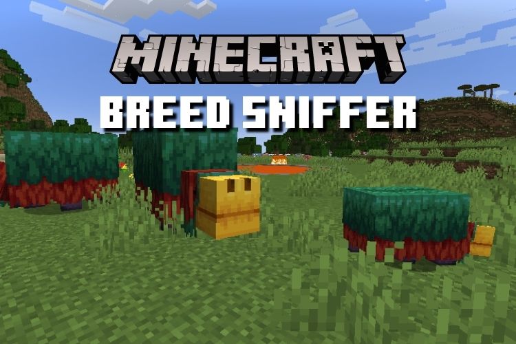 How To Breed Sniffer In Minecraft 1 20 2023 Guide Beebom