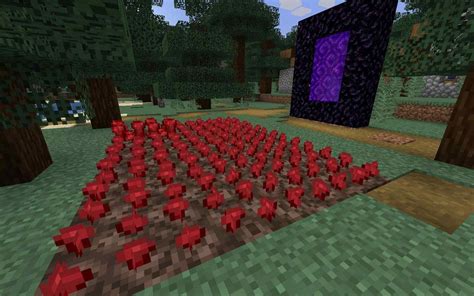 How To Build Nether Wart Farm? Fast Growth Tips