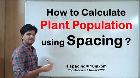 How To Calculate Plant Population Calculate Spacing Of Plant