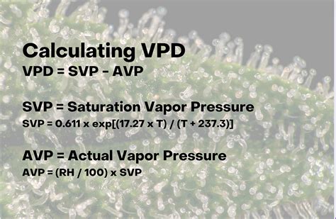 How To Calculate Vapor Pressure Deficit Vpd