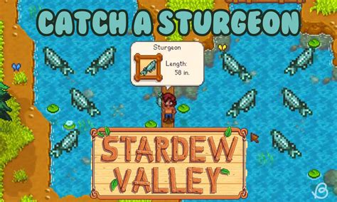 How To Catch A Sturgeon In Stardew Valley Complete Guide