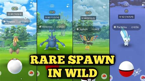 How To Catch Rare Pokemon In Pokemon Go Rare Spawn Locations Pokemon