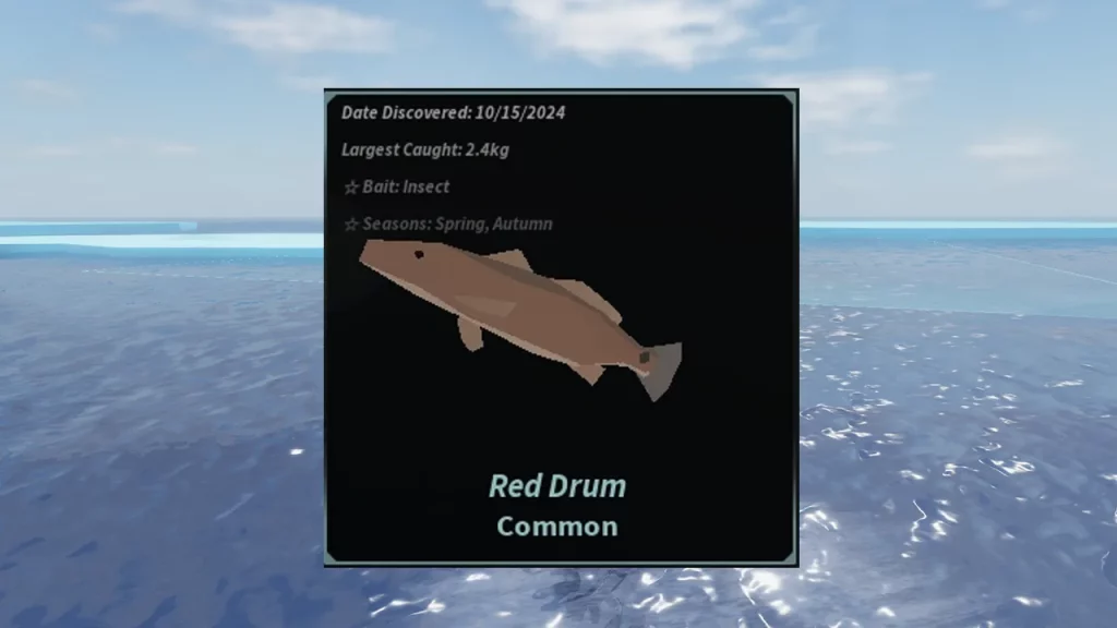 How To Catch Red Drum Fish? Tips Inside