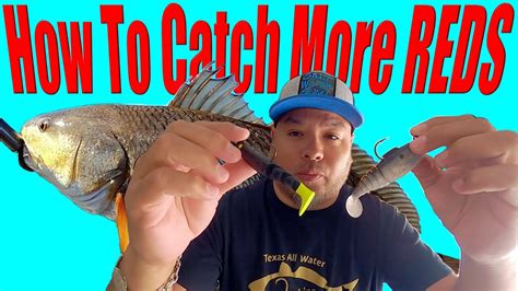 How To Catch Red Drums Helpful Tips For Fishing And Catching Youtube