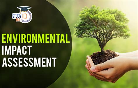 How To Conduct Environmental Impact Assessments? Made Easy