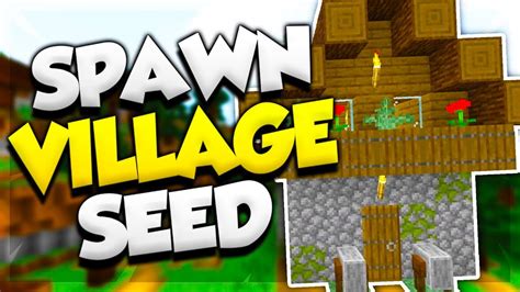 How To Create Seed Spawn Village? Easy Guide