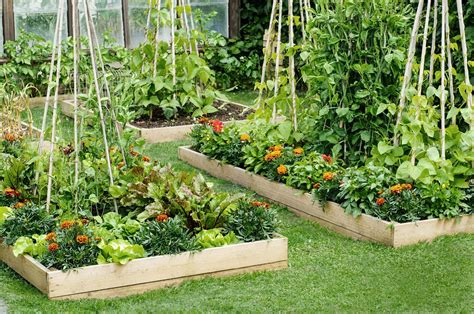 How To Design A Raised Garden Bed Storables