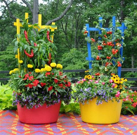 How To Design? Vegetable Garden Tips