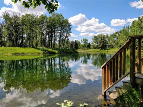 How To Explore Carburn Park Calgary? Easily