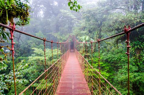 How To Explore Monteverde? Ecotourism Guide