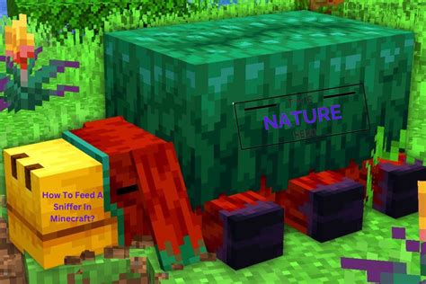 How To Feed A Sniffer In Minecraft The Nature Hero