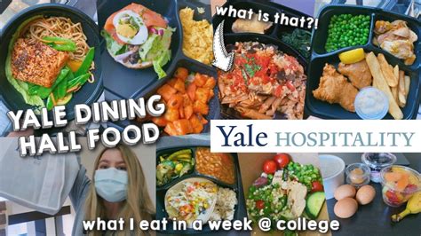 How To Find Best Yale Mi Restaurants? Food Guide