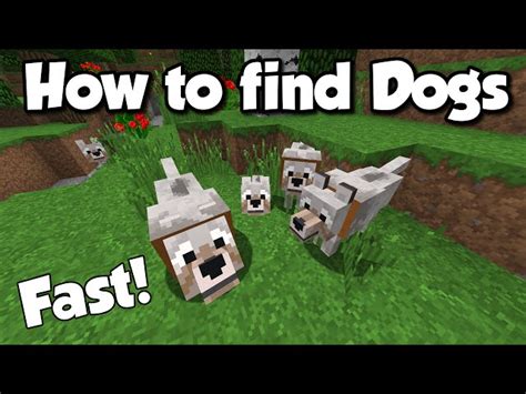 How To Find Dogs In Minecraft Biomes Easily