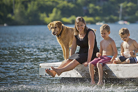 How To Find Tahoe Pet Friendly Rentals? Easily Book