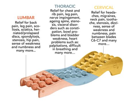 How To Fix Lower Back Muscle Strain Spinal Backrack