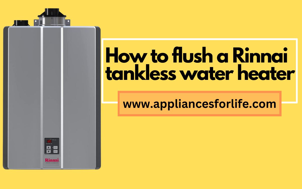 How To Flush A Rinnai Tankless Water Heater In 10 Steps