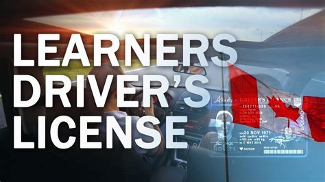 How To Get Alberta Learners Permit? Easy Step Guide