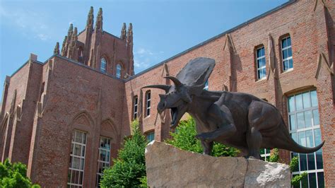 How To Get To Yale Peabody Museum Of Natural Hist Yale Peabody Museum