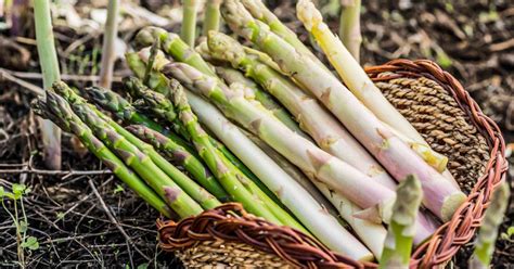 How To Grow Asparagus And Enjoy This Vegetable For Years To Come