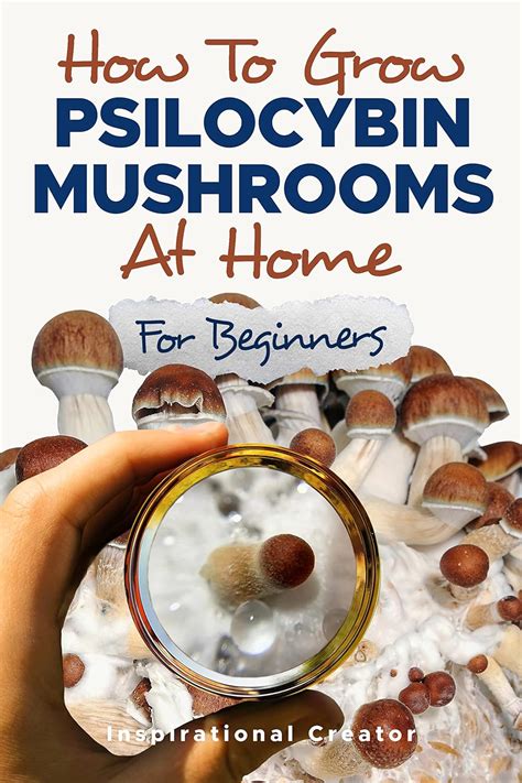 How To Grow Shrooms A Comprehensive Guide For Beginners