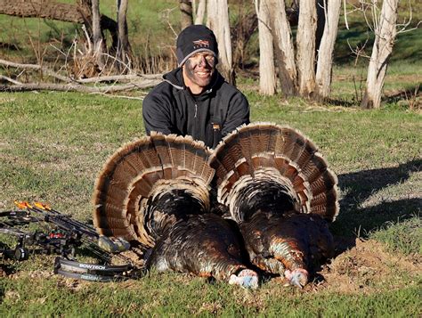 How To Hunt Rio Grande Turkey? Expert Tips