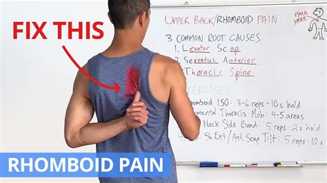 How To Loosen Tight Rhomboid Muscles? Easy Exercises