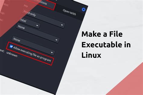 How To Make A File Executable In Linux 2024 Guide Beebom