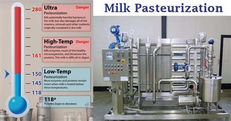 How To Pasteurization Milk