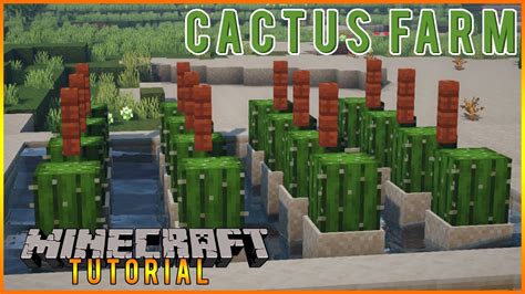 How To Plant Cactus Minecraft? Easy Guide