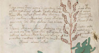 How To Read Voynich Manuscript Yale? Expert Guide