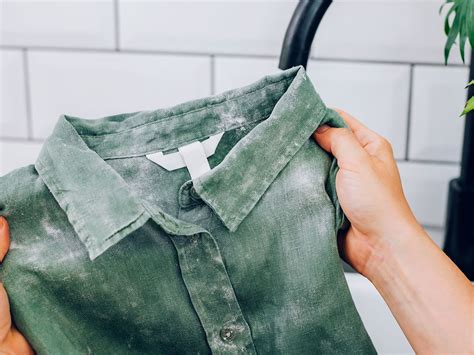 How To Remove Mold From Clothes And Fabric Effectively