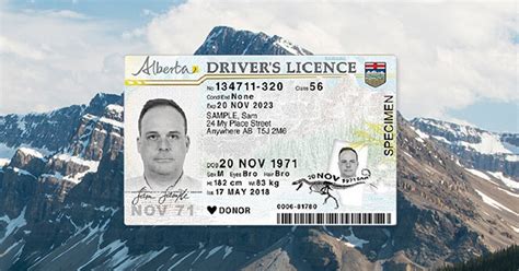 How To Replace Drivers License Alberta