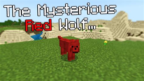 How To Spawn A Red Wolf In Minecraft Youtube