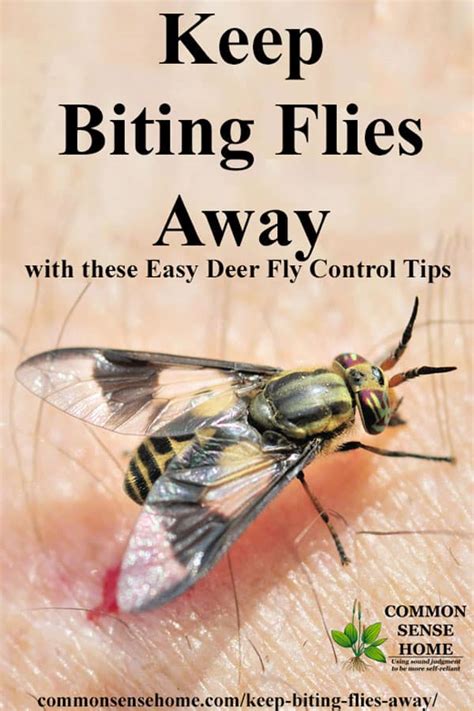 How To Stop Yellow Deer Fly Bites? Quick Relief