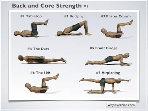 How To Strengthen Your Core Muscles Caloriebee