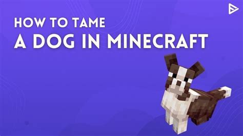 How To Tame Dog Types In Minecraft? Easy Tips