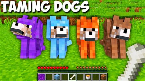 How To Taming Storm Dog Or Ice Dog Or Lava Dog Or Dirt Dog In Minecraft