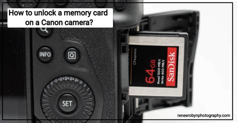 How To Unlock A Memory Card On A Canon Camera Renee Robyn