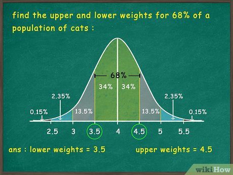 How To Use Empirical Hypergraph Dataset? Simplified Guide