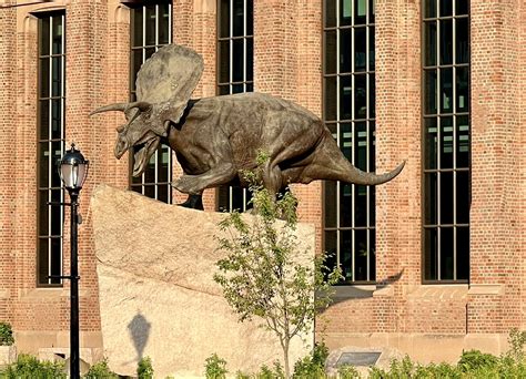 How To Visit Yale's Peabody Museum? Easy Tips