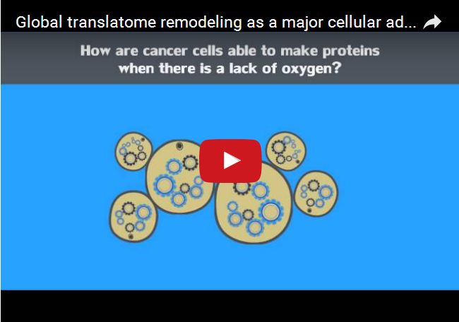 How Would Cells Survive Without Ribosomes? Key Answers